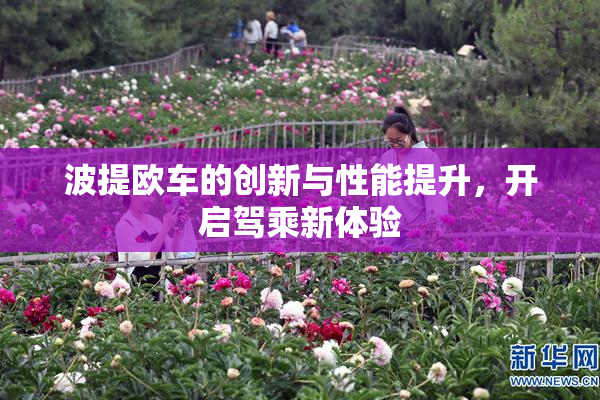波提欧车的创新与性能提升，开启驾乘新体验