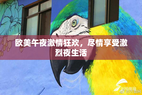 欧美午夜激情狂欢，尽情享受激烈夜生活