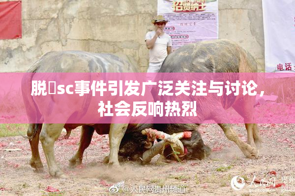 脱糞sc事件引发广泛关注与讨论，社会反响热烈