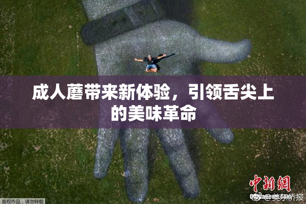 成人蘑带来新体验，引领舌尖上的美味革命