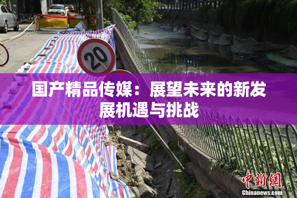国产精品传媒：展望未来的新发展机遇与挑战