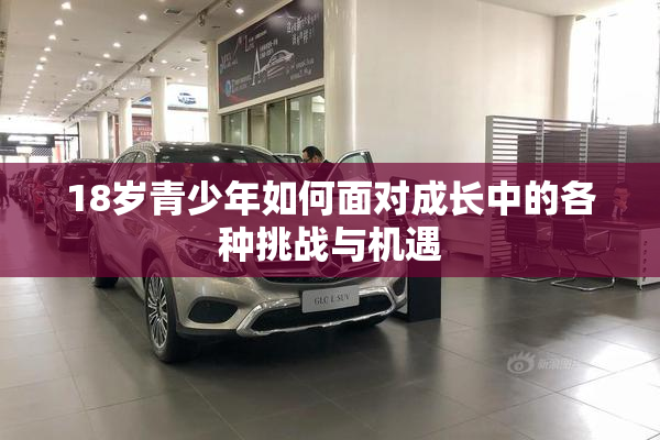 18岁青少年如何面对成长中的各种挑战与机遇