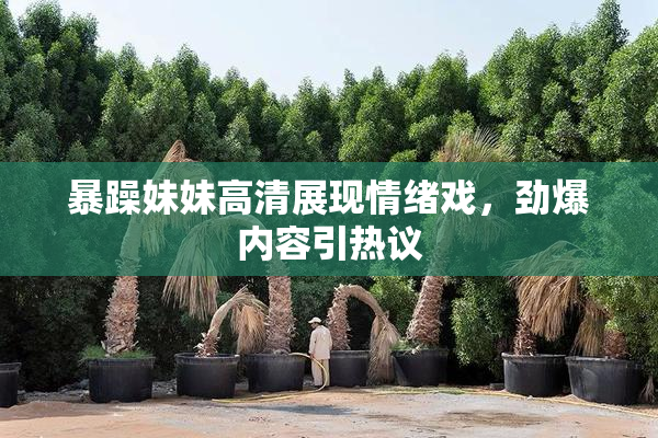 暴躁妹妹高清展现情绪戏，劲爆内容引热议