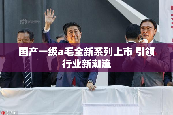 国产一级a毛全新系列上市 引领行业新潮流