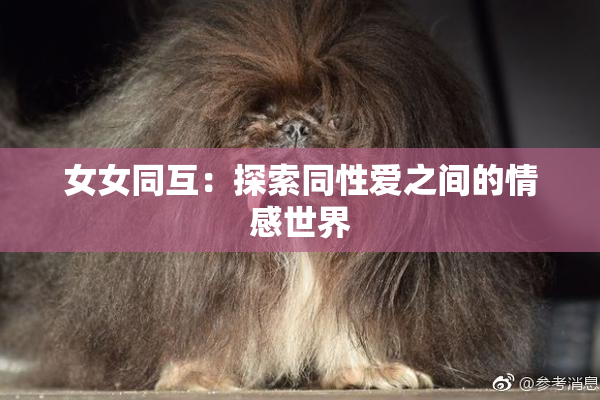女女同互：探索同性爱之间的情感世界