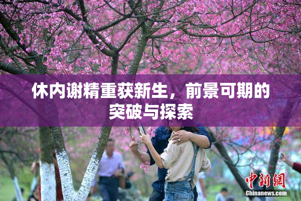 休内谢精重获新生，前景可期的突破与探索