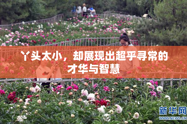 丫头太小，却展现出超乎寻常的才华与智慧