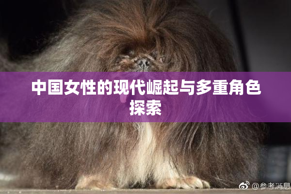 中国女性的现代崛起与多重角色探索