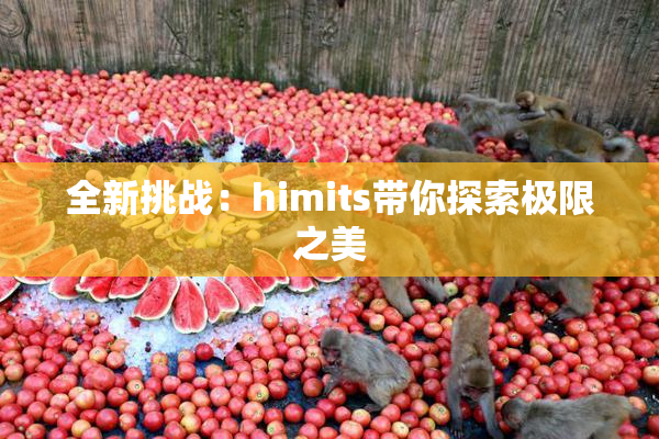全新挑战：himits带你探索极限之美