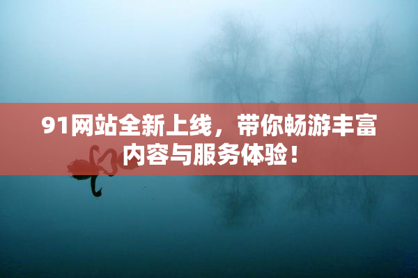 91网站全新上线，带你畅游丰富内容与服务体验！