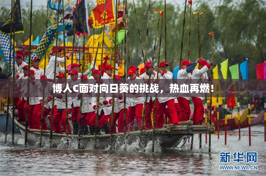 博人C面对向日葵的挑战，热血再燃！
