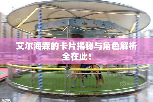 艾尔海森的卡片揭秘与角色解析全在此！