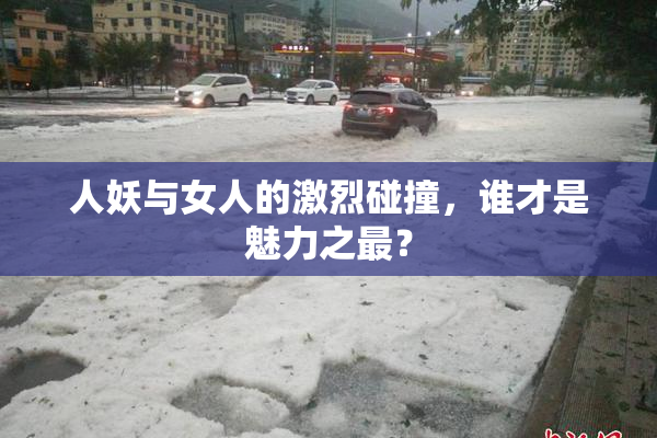 人妖与女人的激烈碰撞，谁才是魅力之最？