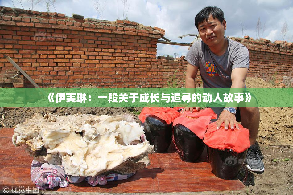 《伊芙琳：一段关于成长与追寻的动人故事》