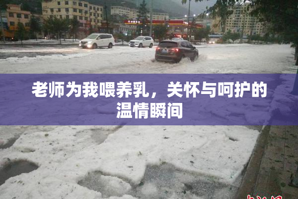 老师为我喂养乳，关怀与呵护的温情瞬间