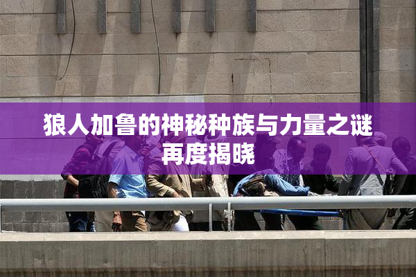 狼人加鲁的神秘种族与力量之谜再度揭晓