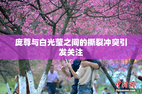 庞尊与白光莹之间的撕裂冲突引发关注