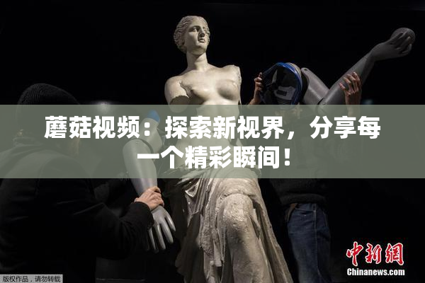 蘑菇视频：探索新视界，分享每一个精彩瞬间！