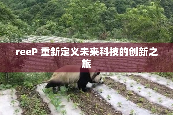 reeP 重新定义未来科技的创新之旅