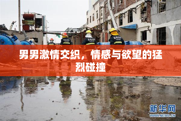 男男激情交织，情感与欲望的猛烈碰撞