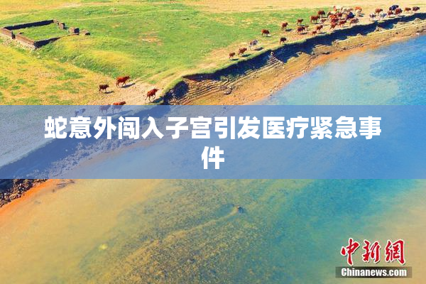 蛇意外闯入子宫引发医疗紧急事件