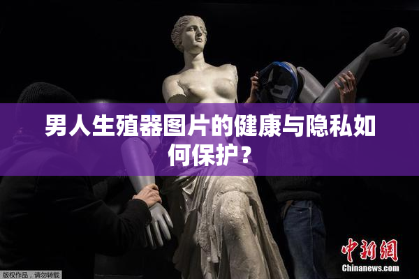 男人生殖器图片的健康与隐私如何保护？