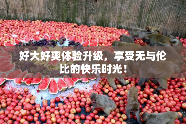 好大好爽体验升级，享受无与伦比的快乐时光！