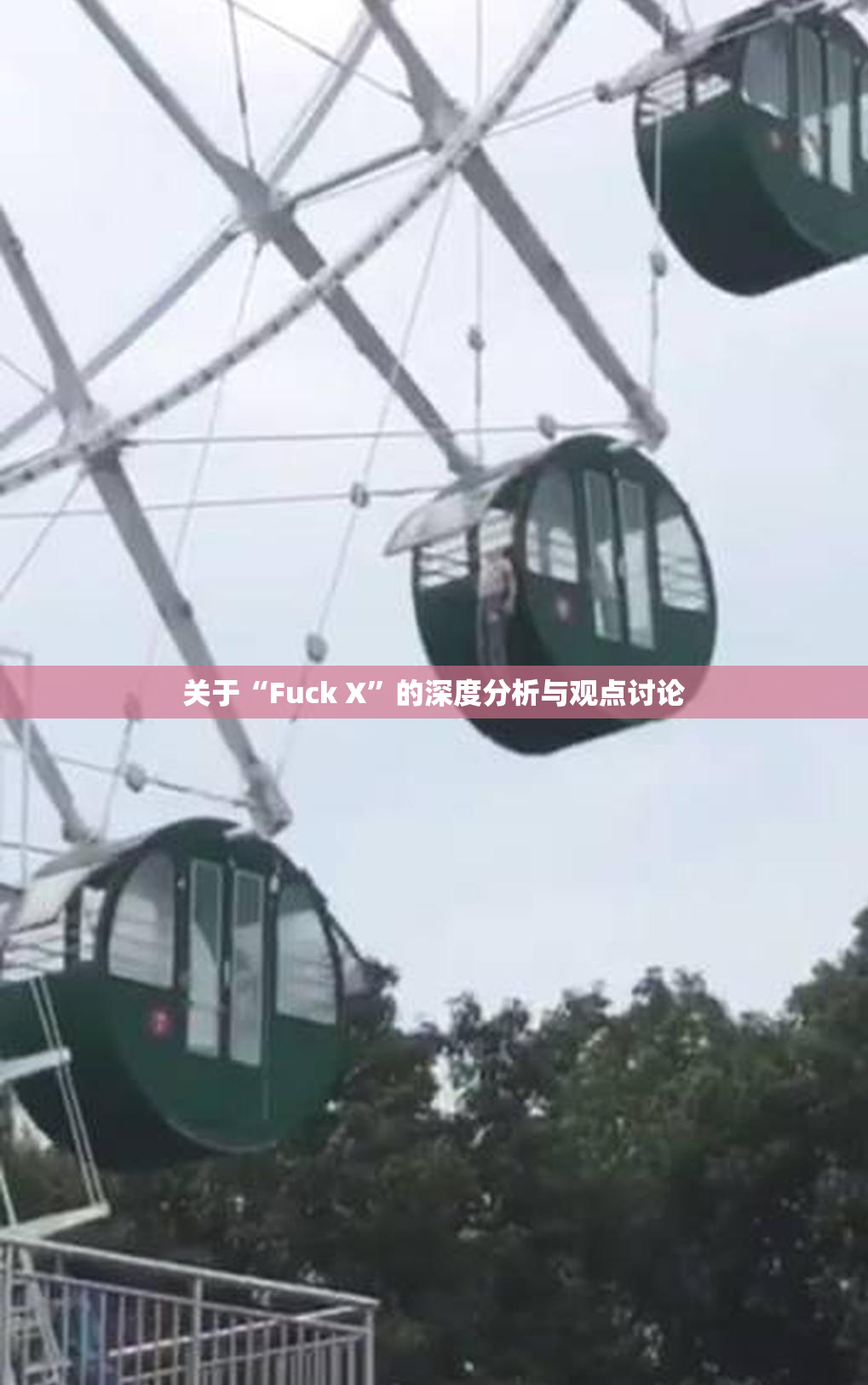 关于“Fuck X”的深度分析与观点讨论