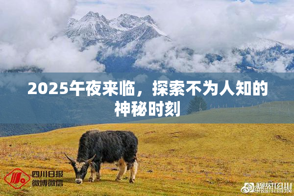 2025午夜来临，探索不为人知的神秘时刻
