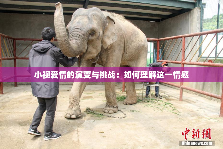 小视爱情的演变与挑战：如何理解这一情感