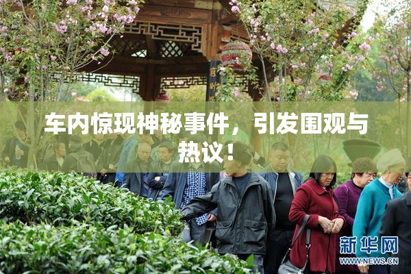 车内惊现神秘事件，引发围观与热议！