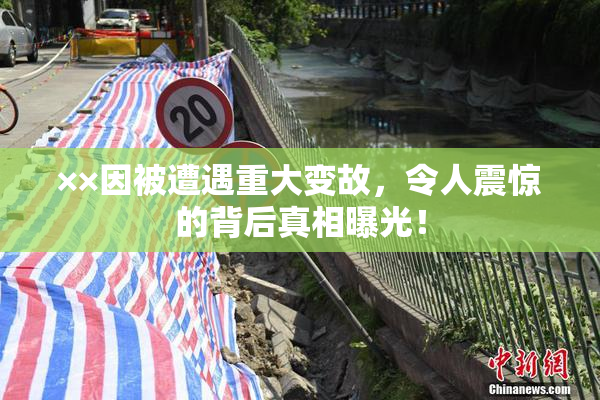 ××因被遭遇重大变故，令人震惊的背后真相曝光！