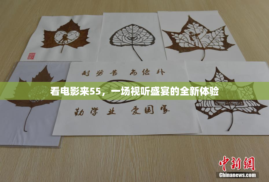 看电影来55，一场视听盛宴的全新体验
