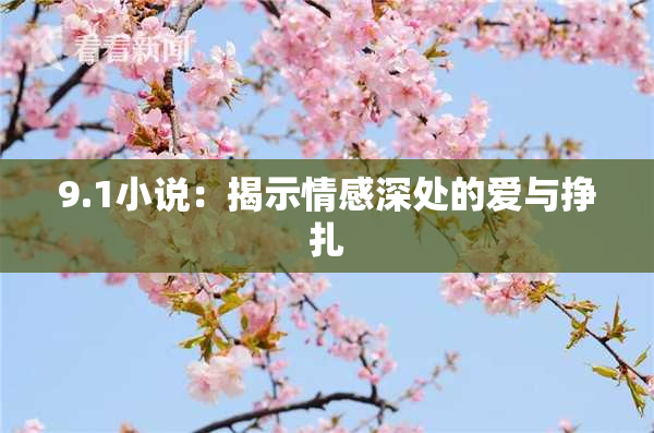 9.1小说：揭示情感深处的爱与挣扎