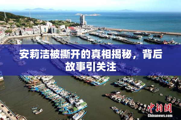 安莉洁被撕开的真相揭秘，背后故事引关注