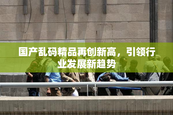 国产乱码精品再创新高，引领行业发展新趋势