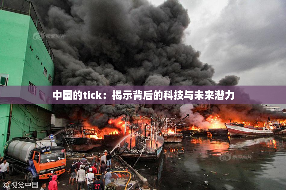 中国的tick：揭示背后的科技与未来潜力