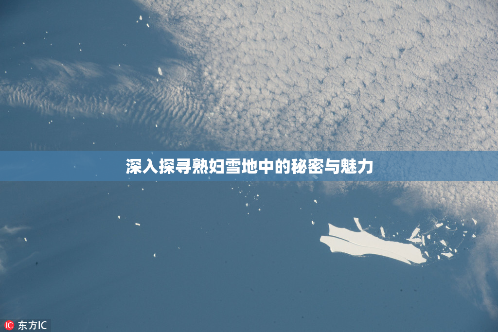 深入探寻熟妇雪地中的秘密与魅力