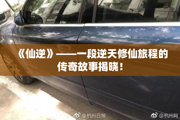 《仙逆》——一段逆天修仙旅程的传奇故事揭晓！