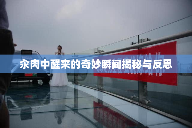 汆肉中醒来的奇妙瞬间揭秘与反思