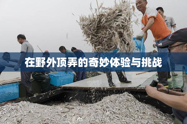 在野外顶弄的奇妙体验与挑战