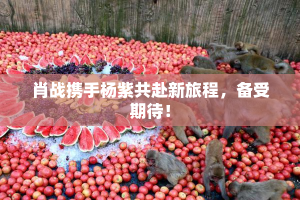 肖战携手杨紫共赴新旅程，备受期待！
