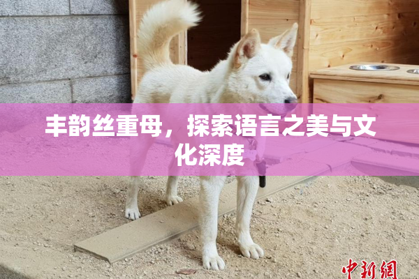丰韵丝重母，探索语言之美与文化深度
