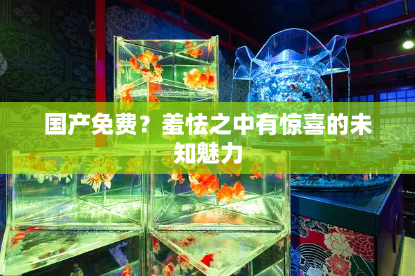 国产免费？羞怯之中有惊喜的未知魅力
