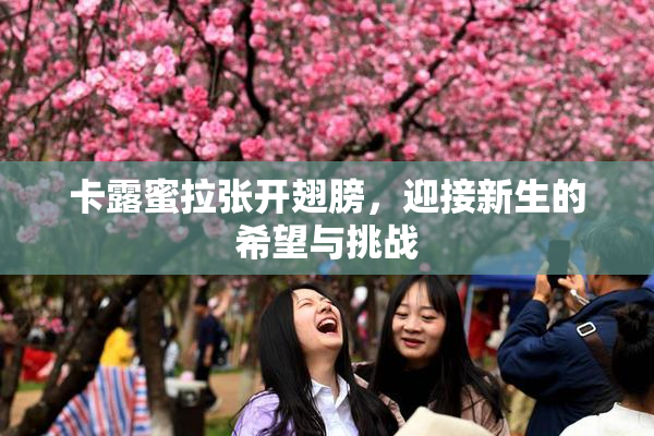卡露蜜拉张开翅膀，迎接新生的希望与挑战