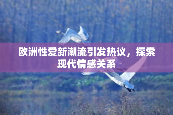 欧洲性爱新潮流引发热议，探索现代情感关系
