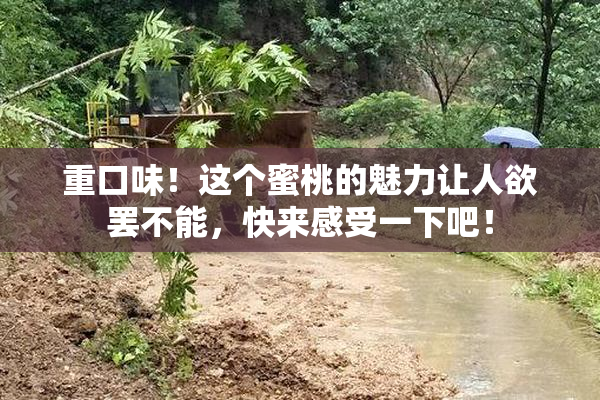 重口味！这个蜜桃的魅力让人欲罢不能，快来感受一下吧！