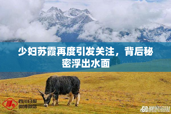 少妇苏霞再度引发关注，背后秘密浮出水面