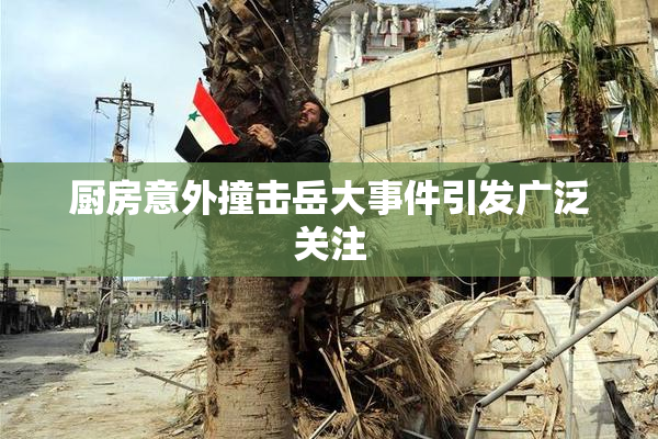 厨房意外撞击岳大事件引发广泛关注