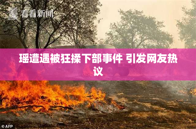 瑶遭遇被狂揉下部事件 引发网友热议